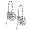 Náušnice s krištáľmi Swarovski ESSW08-CZ