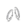Strieborné náušnice Hot Diamonds Flora DE581