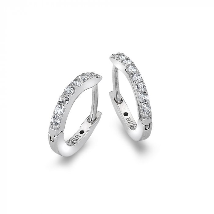 Strieborné náušnice Hot Diamonds Flora DE581