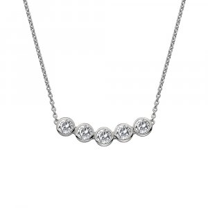 Strieborný náhrdelník Hot Diamonds Willow DN129