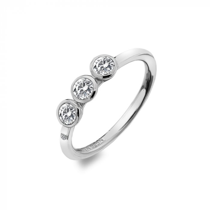 Strieborný prsteň Hot Diamonds Willow DR205