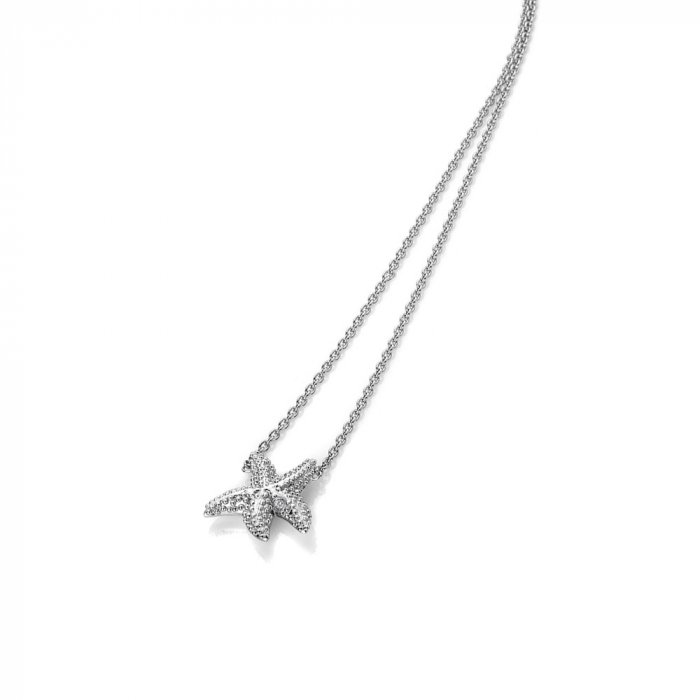 Strieborný náhrdelník Hot Diamonds Daisy RG DN132