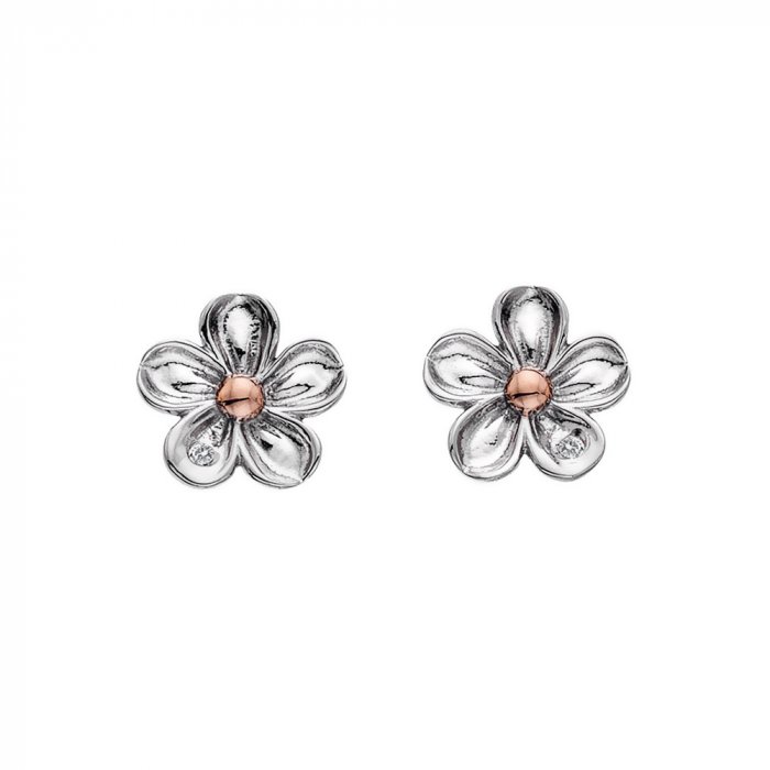 Náušnice Hot Diamonds Forget me not RG DE618
