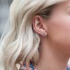 Strieborné náušnice HOT DIAMONDS Paradise DE248
