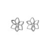 Strieborné náušnice Hot Diamonds Diamond Amulets DE711