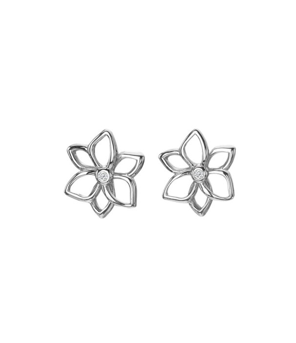 Strieborné náušnice Hot Diamonds Diamond Amulets DE711